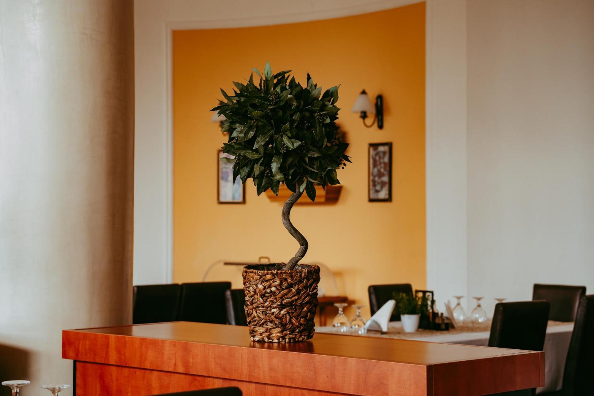 Hotel Aurelia Chisoda Dış mekan fotoğraf